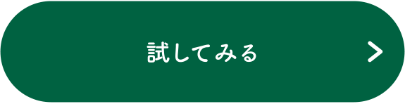 試してみる