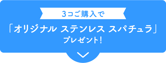 ３コご購入で「オリジナル ステンレス スパチュラ」プレゼント！